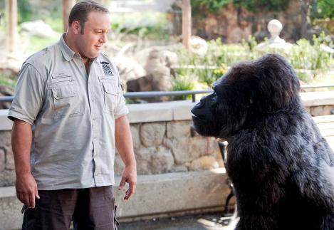 Kevin James is shown in a scene talking to a talking gorilla in "Zookeeper." (Photo credit: Columbia Pictures)